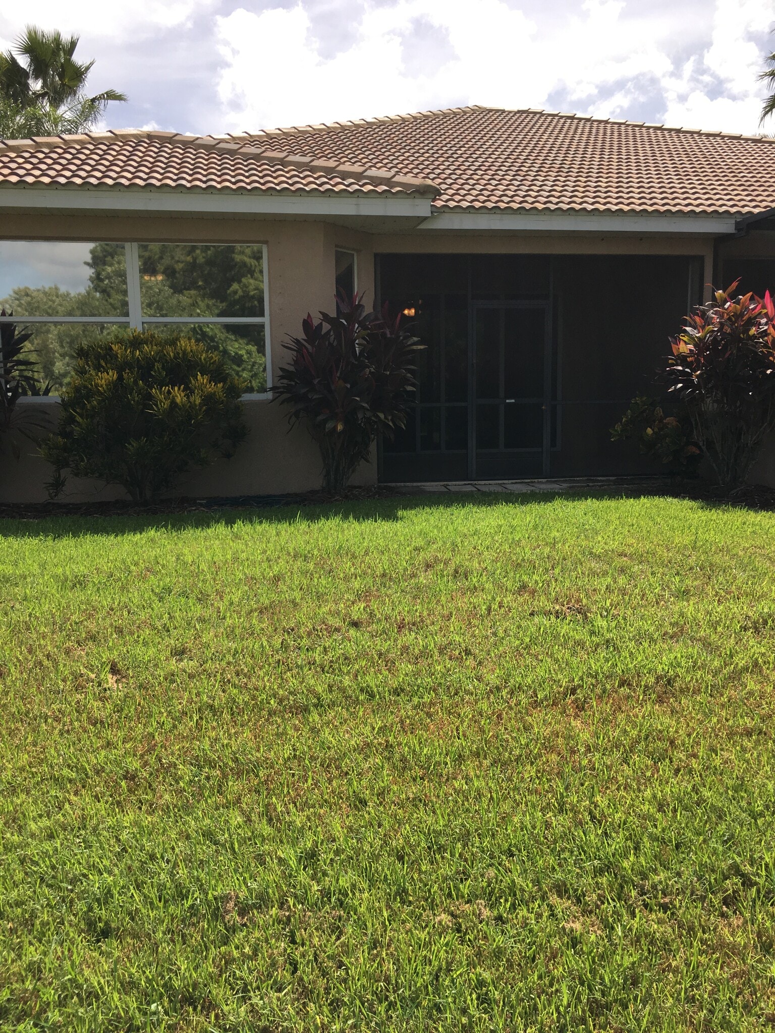 View of Back of Home - 224 Fairway Isles Ln