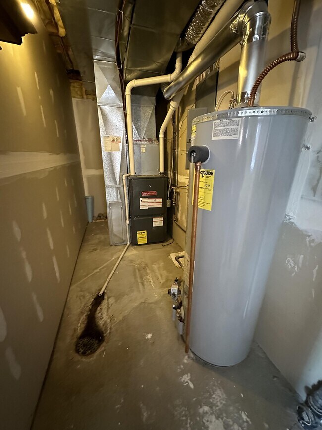 Building Photo - 113 Manilla Dr