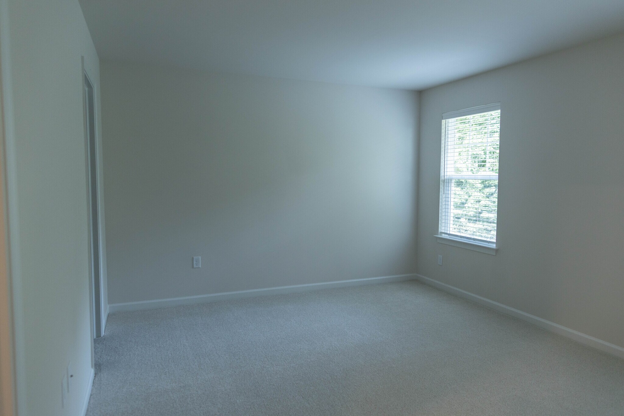 Building Photo - 89 Beech Tree Ct