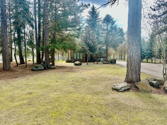 Building Photo - Suncrest Rental