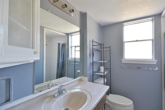 Building Photo - 3938 Forest Bluff Dr