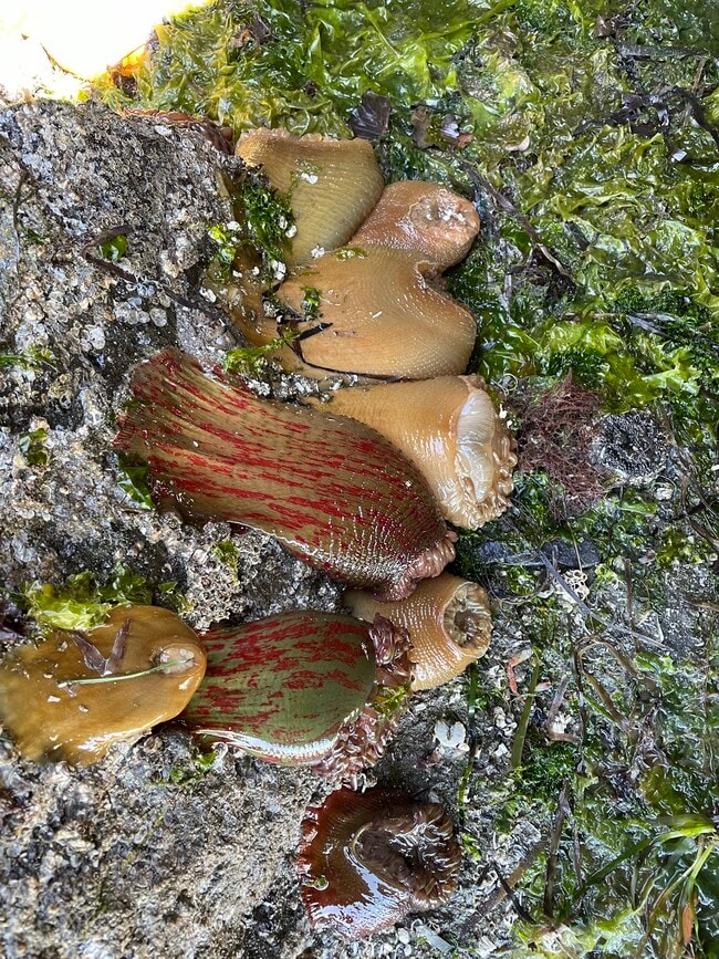 Building Photo - 22985 Marine View Dr S