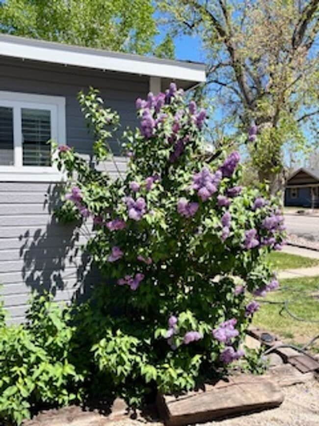 Building Photo - Home Sweet Home Loveland