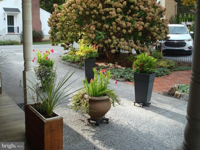 Building Photo - 514 Spring Grove Ln