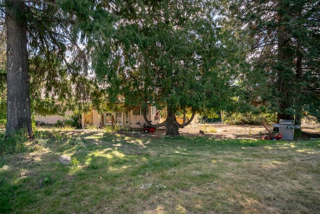 Building Photo - 3 Bedroom 1 Bath