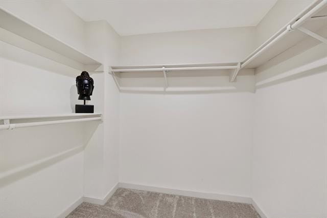 Building Photo - 10314 Baronne Cir