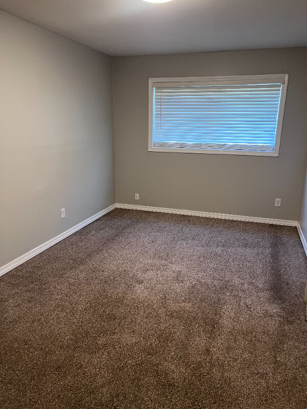 Building Photo - 1619 Dudley Ln