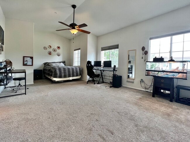 Building Photo - Beautiful Condo in South Fort Collins