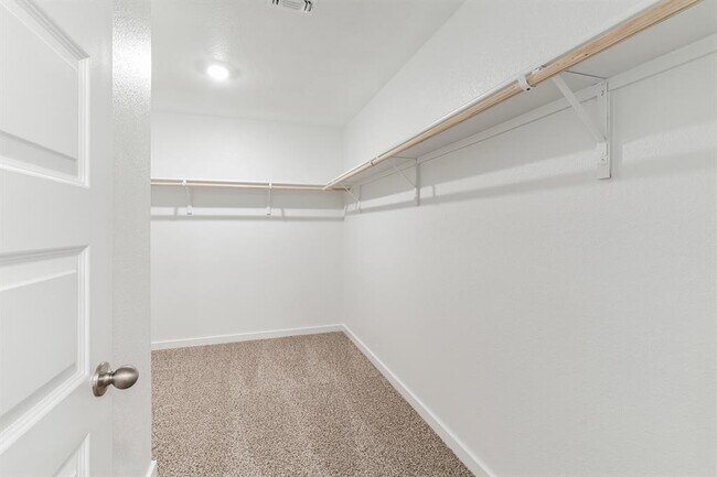 Building Photo - 309 Pedernales Ln