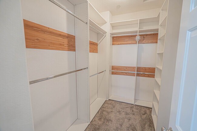 Building Photo - 3-Bedroom Home with Fresh Paint in Creekside of Valencia!