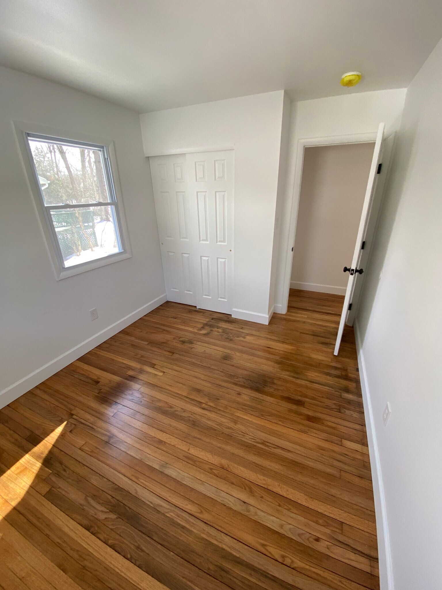 Building Photo - 85 Trottingham Ct