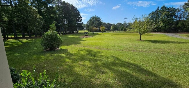 Building Photo - Cutie in the Country