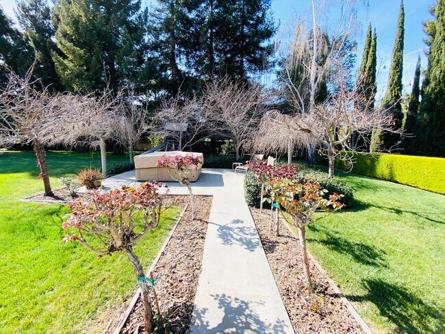 Building Photo - Extraordinary home with expansive yard on a flag lot in Mountain View.  Great Location and Schools.