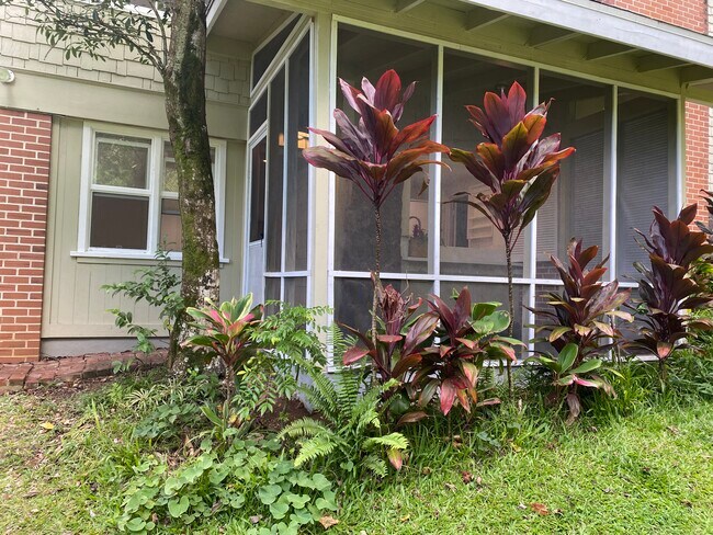 Primary Photo - 21 Homelani Pl