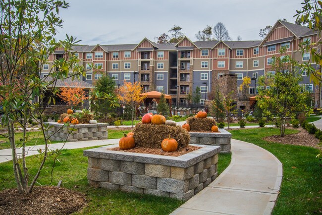 The Aventine Asheville Arden Nc Apartment Finder