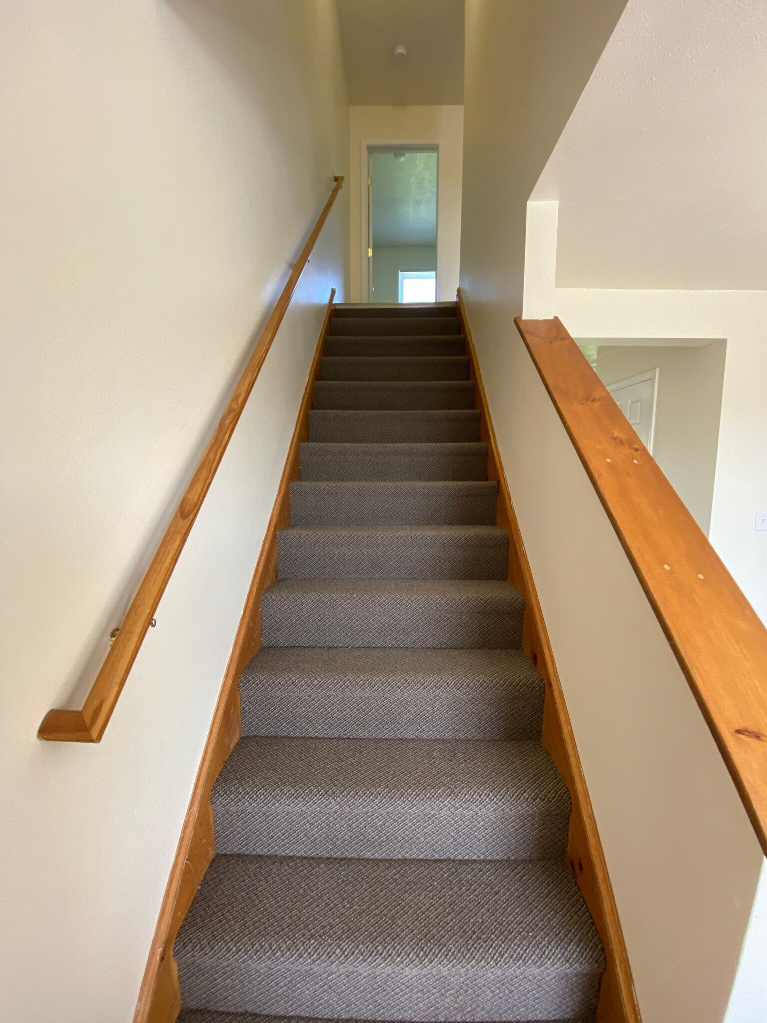 Building Photo - 204 Betsinger Rd