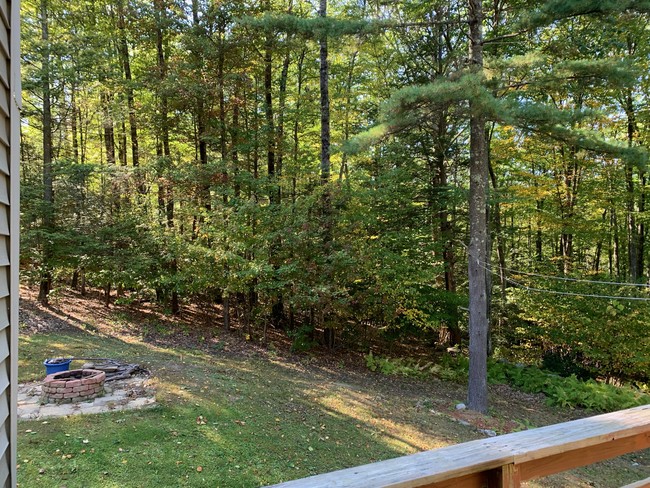 Yard - 24 Petticoat Hill Rd