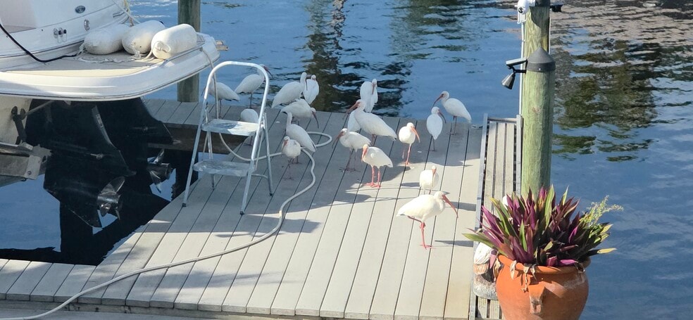 Building Photo - 3520 SE 10th Pl