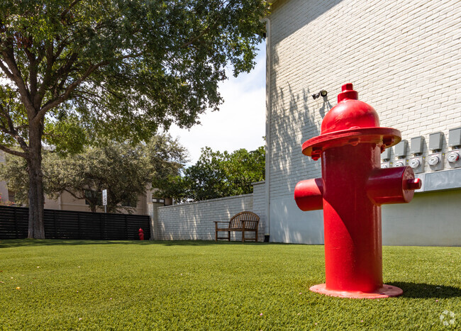 Dog Park Complete With Comfort Items - the PARKER on E. Mulberry