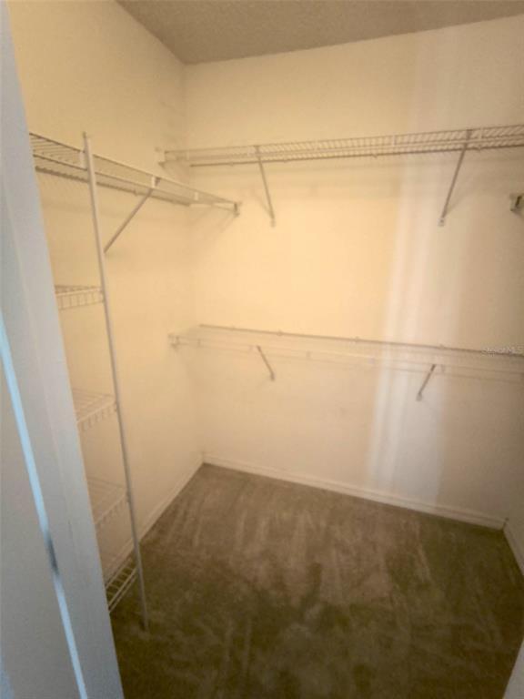 Building Photo - 177 Ryberry Dr