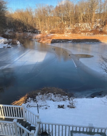 Building Photo - 28 Armstrong Rd