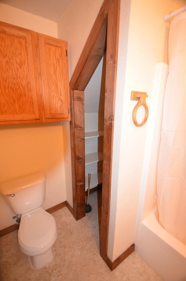 Building Photo - Dogs Negotiable! 25 Minutes from Breckenridge!