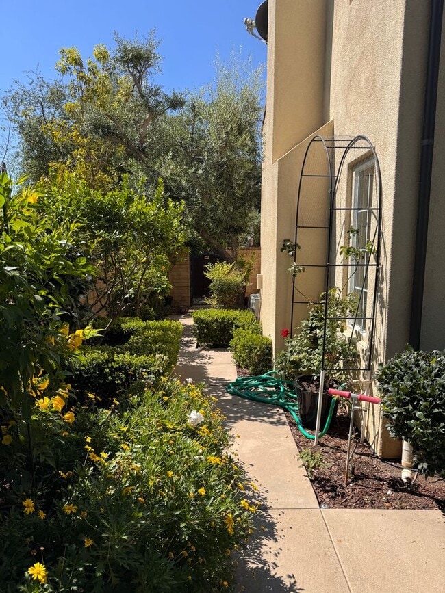 Building Photo - Single House Irvine