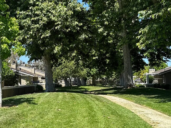 Building Photo - Almaden - Exectuve style 3 bedroom 2 bath ...