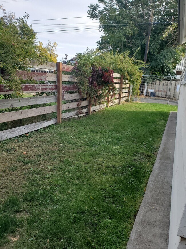 backyard - 807 St Helens St
