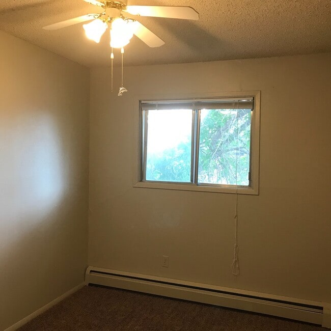 Building Photo - 3 BEDROOM, 1.5 BATHROOM BUFFALO RIDGE TOWNHOUSE