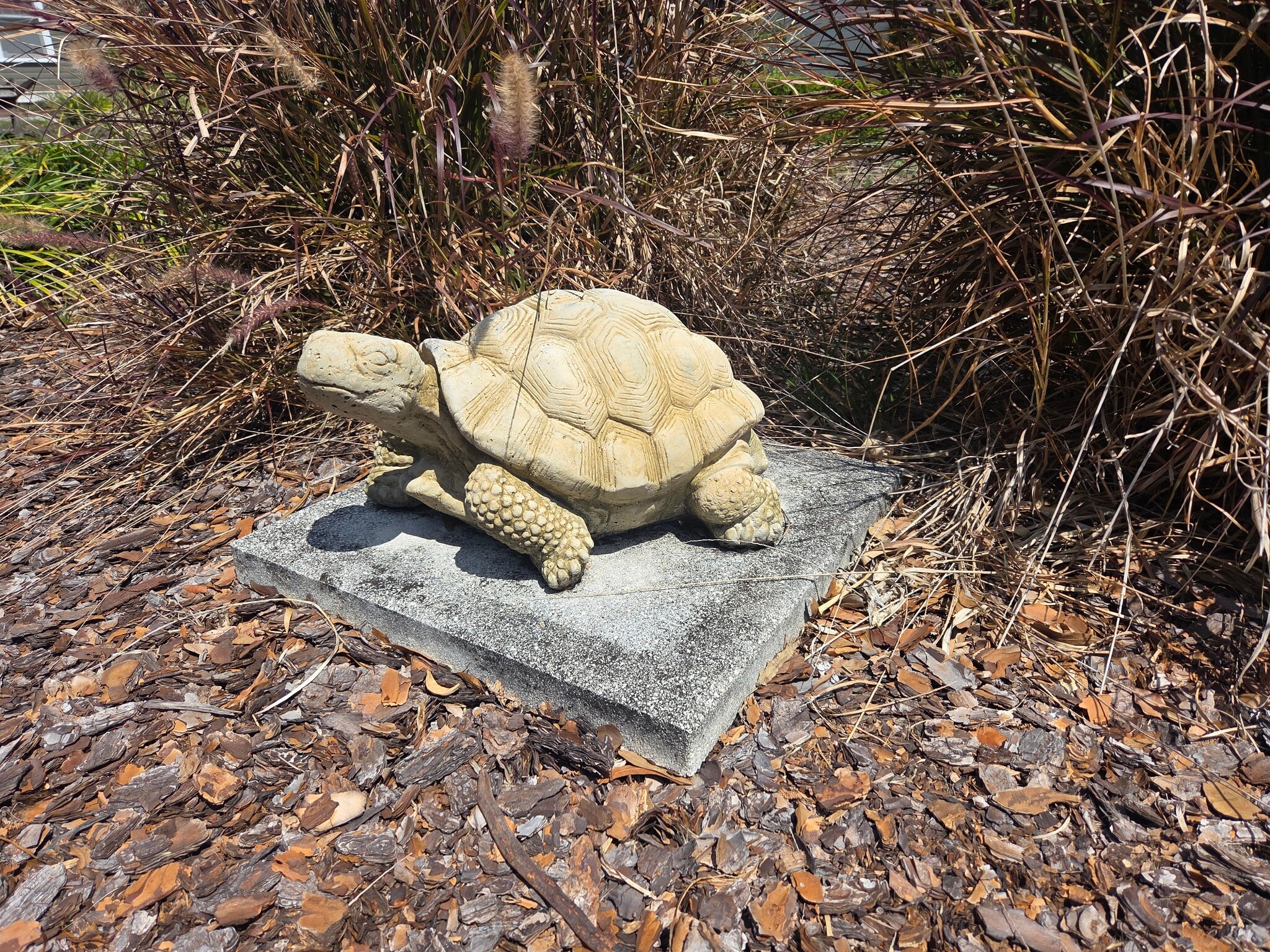 Slow-moving resident - 416 N Summerlin Ave