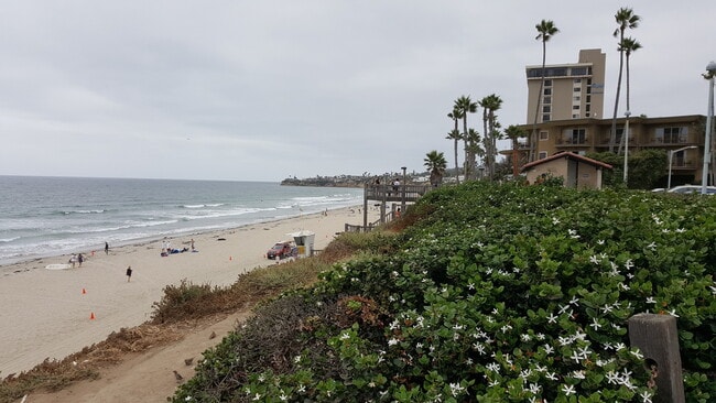Building Photo - Beach Front Complex!!