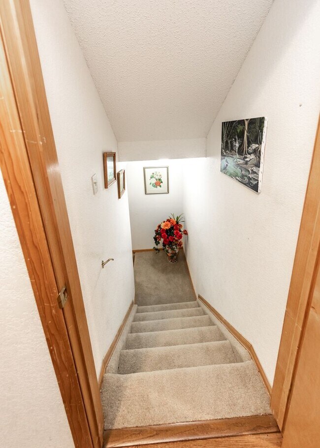 Building Photo - Spacious 5 Bedroom in D20 centrally located
