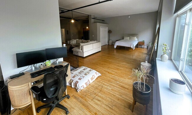 Building Photo - Spacious Studio Downtown Dover!