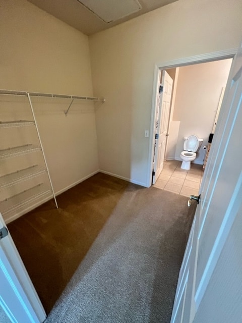 Main closet and bathroom - 229 Scio Village Ct