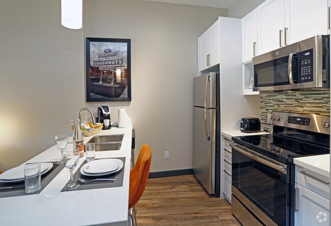 1BR, 1BA - 500sf- Kitchen - Revisn - Furnished Apartments