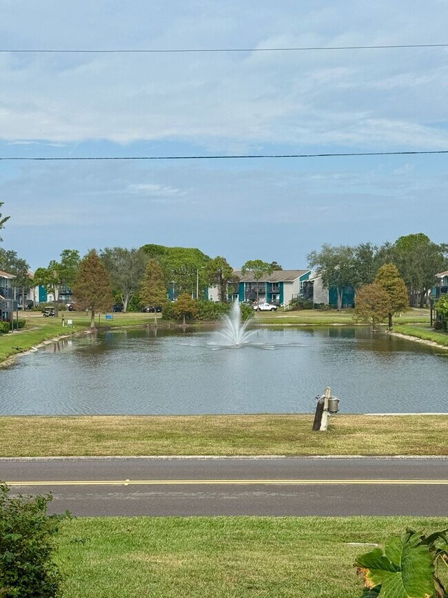 Building Photo - North St. Pete 2/2 Condo