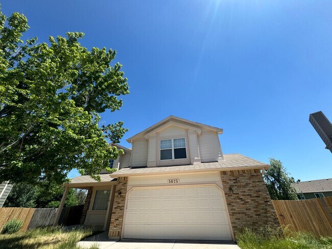 Primary Photo - Charming 5 Bed 3 Bath House