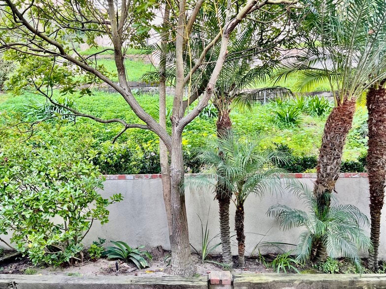 Building Photo - 5518 Riviera Way