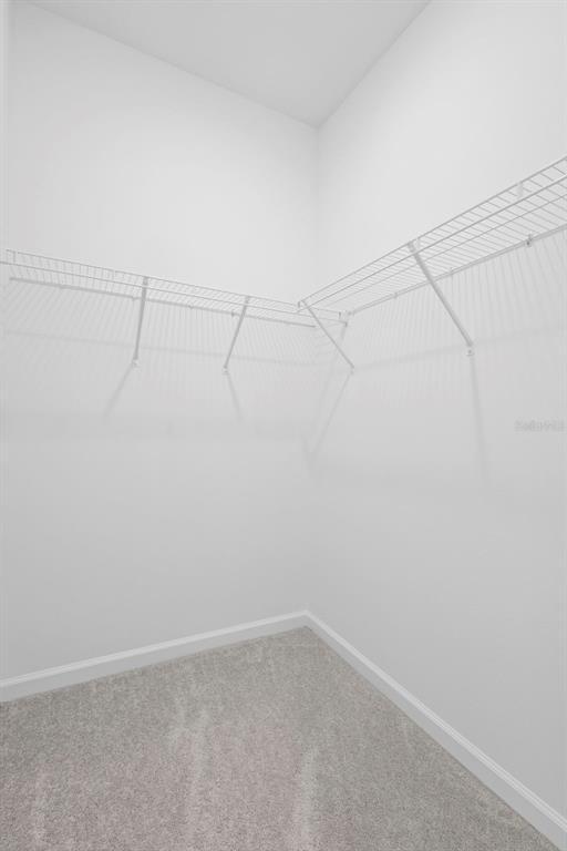 Building Photo - 2234 Rock Dr