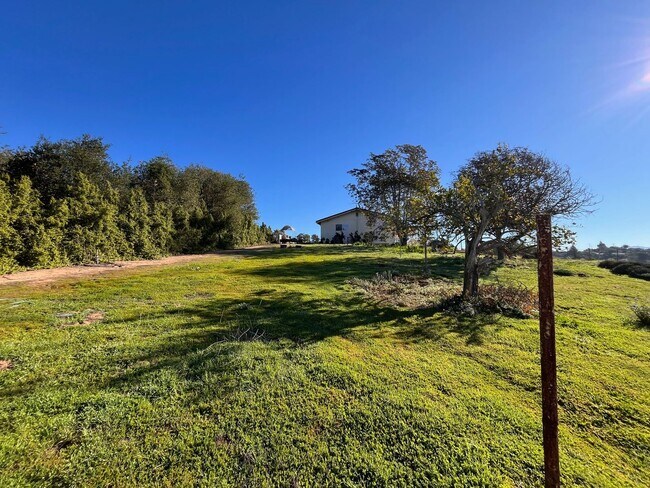 Building Photo - Spectacular Retro Home in a Rural Setting with Views and Space