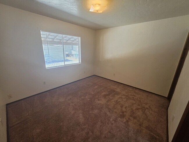 Building Photo - 1515 1/2 Solano St
