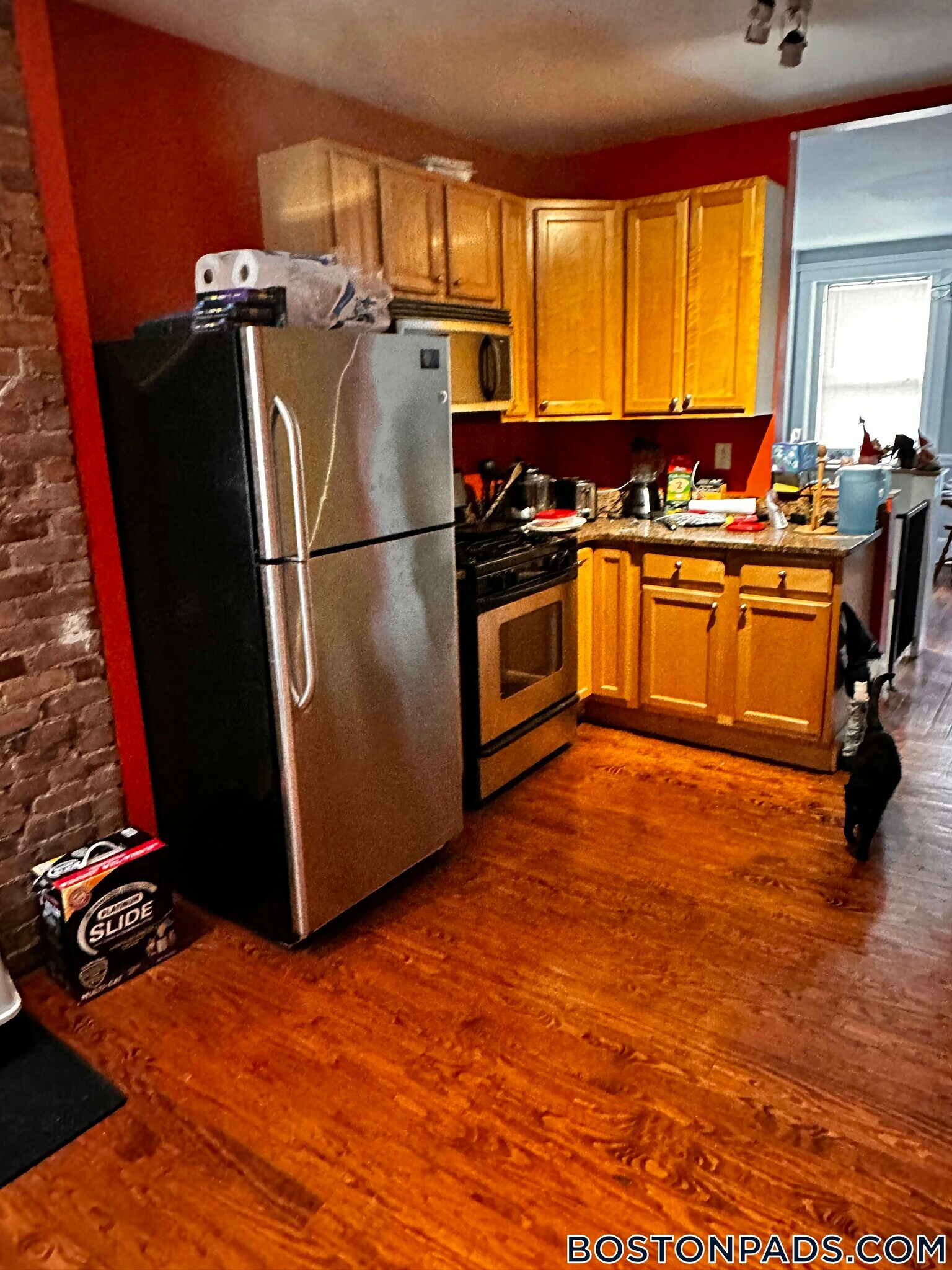 Building Photo - 19 Netherlands Rd