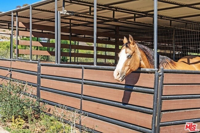 Building Photo - 27357 Pacific Coast Hwy