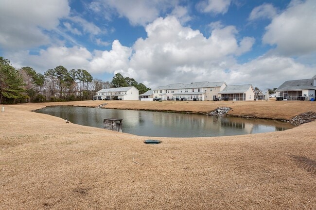 Building Photo - 3 Bedroom, 2.5 Bathroom Townhome in Lakes of Summerville - Summerville