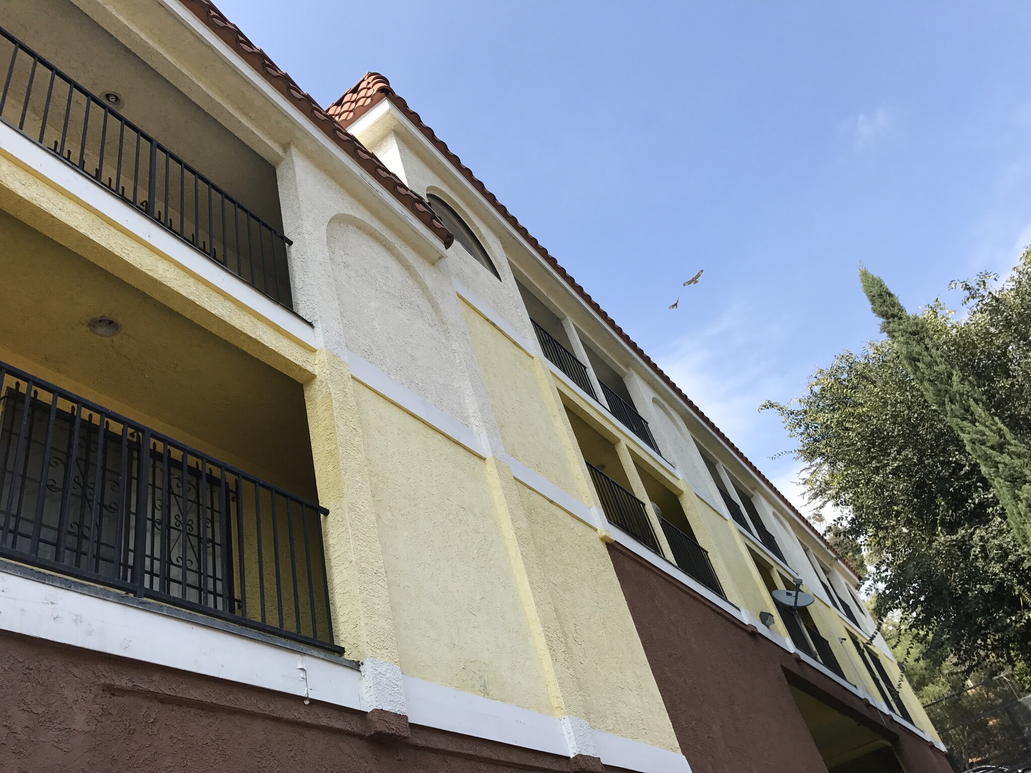 Building Photo - 1285 Vin Scully Ave