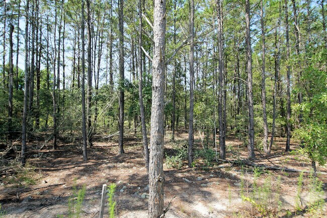 Building Photo - 334 This Way