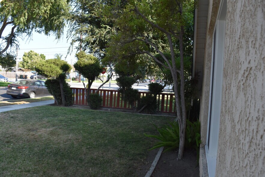 Front Lawn - 423 S Indiana St
