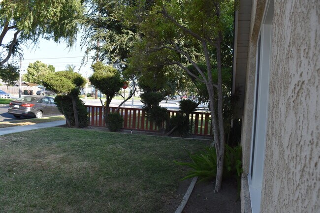 Front Lawn - 423 S Indiana St