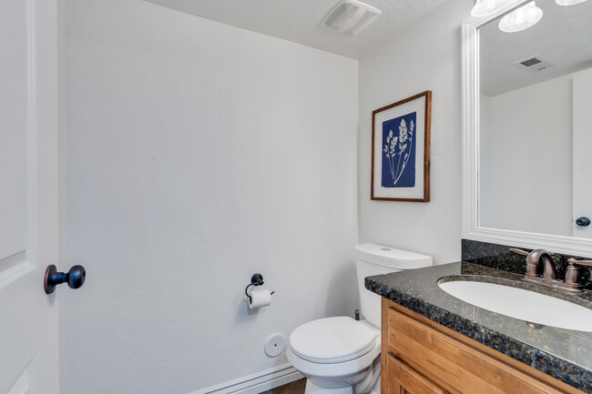 Basement bathroom - 10441 S Sage Vista Way